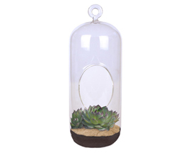 Unique Gardener® Carefree Capsule Clear Glass Hanging Terrarium Seed Starter Kit