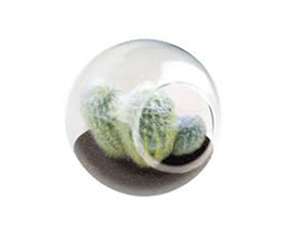 Unique Gardener® Tiny Terrarium Old Lady Cactus