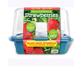 Unique Gardener® Seed Starter Indoor Micro-Gardening Kit - Strawberries