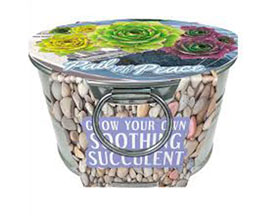 Unique Gardener® Tin Pail Garden Of Peace 