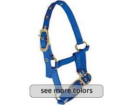 Nylon Llama Halter