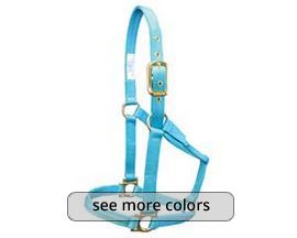 Valhoma Economy Q Yearling Halter