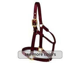 Valhoma Premium Draft Horse Halter