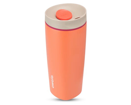 Owala® SmoothSip 20 oz. Stainless Steel Water Bottle - Campfire Night