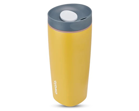 Owala® SmoothSip 20 oz. Stainless Steel Water Bottle - Golden Quest