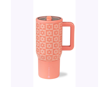 Hydrojug® Traveler 20 oz. Insulated Leak-Proof Water Bottles - Daisy Checkers
