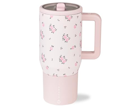 Hydrojug® Traveler 20 oz. Insulated Leak-Proof Water Bottles - Wild Rose
