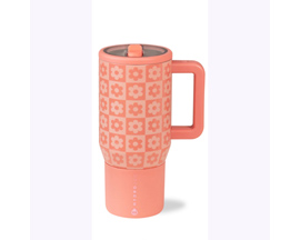 Hydrojug® Traveler 20 oz. Insulated Leak-Proof Water Bottles - Daisy Checkers