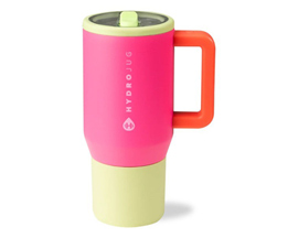 Hydrojug® Travler 20 oz. Handle & Flip Straw Water Bottle - Orchid