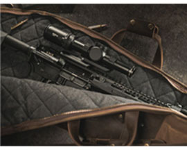 Gun Cases & Holsters