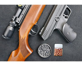 Pellet Guns