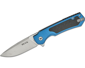 Buck® Stinger Frame Lock Flipper Knife - Blue