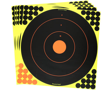 Birchwood® Casey 17.25 in. Bulls Eye Shoot-N-C Target