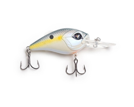 Googan® 1.5 in. Squad Micro Regon Crankbait - 