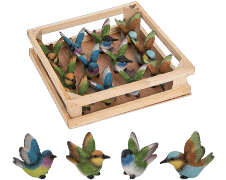 Mini Flying Hummingbirds In Crate