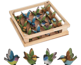 Mini Flying Hummingbirds In Crate