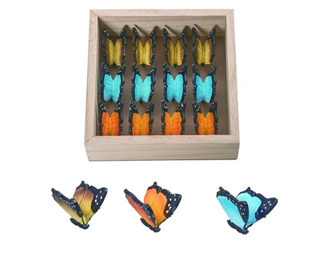 Mini Butterflies In Crate