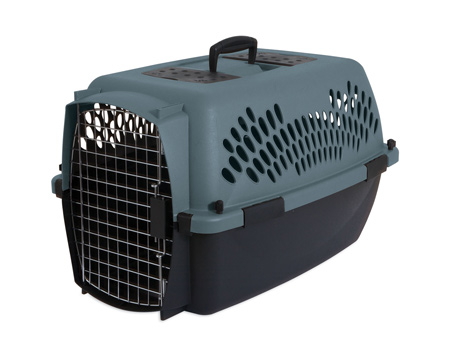 Aspen Pet® Pet Porter Plastic Carrier - Black/Grey