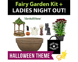 Ladies Night Out: Event Ticket & Fairy Garden Starter Kit