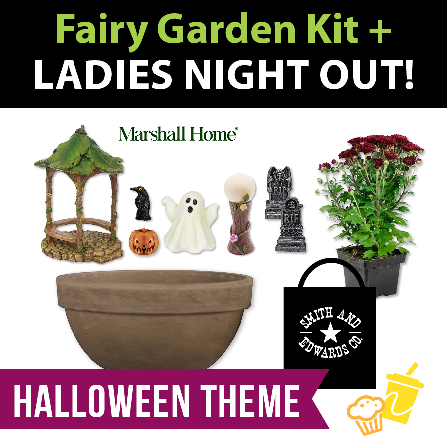 Ladies Night Out: Event Ticket & Fairy Garden Starter Kit
