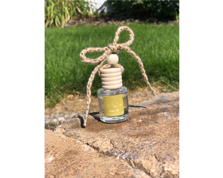 Surfs Up Scent Air Freshener