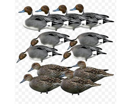 Avery® Pro Grade Silhouette Decoys - Pintail