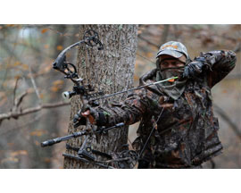 Archery & Accessories