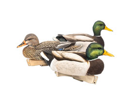 Decoys