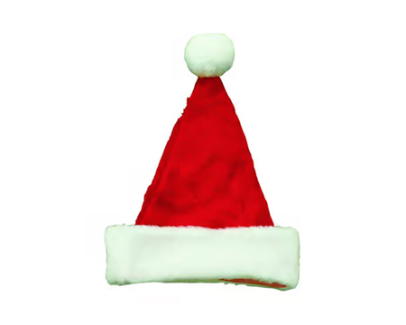 Santa Hat