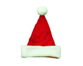 Santa Hat