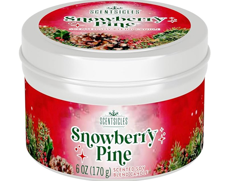 Scentsicles® Candle - Snowberry Pine