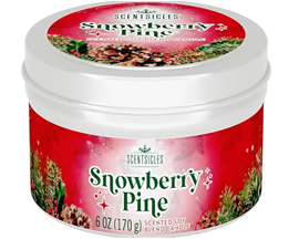 Scentsicles® Candle - Snowberry Pine