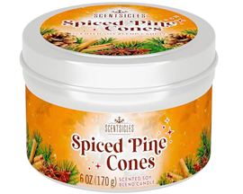 Scentsicles® Candle - Spiced Pine Cones