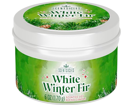 Scentcicles® Candle - Winter Fir