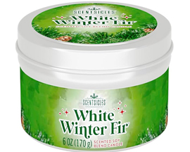 Scentcicles® Candle - Winter Fir