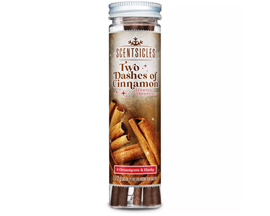 Scentsicles® Scented Ornament Sticks - Two Dashes Of Cinnamon