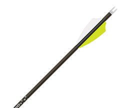 Gold Tip&reg; 400 Pierce LRT Raptor Fetched Archery Arrows - 6 Pack