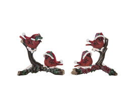 Santa Hat Cardinal On Branch