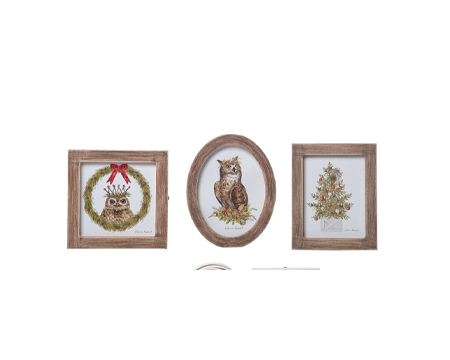 Owl Framed Artwork