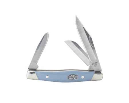 Buck® Cadet Silver Steel Pocket Knife - Blue/Nickel