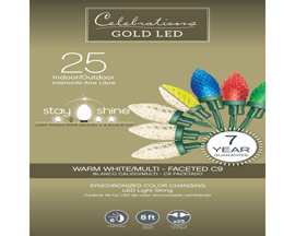 Celebrations® 8 ft. Gold LED Multicolored Warm Light Christmas Lights - 25 Count