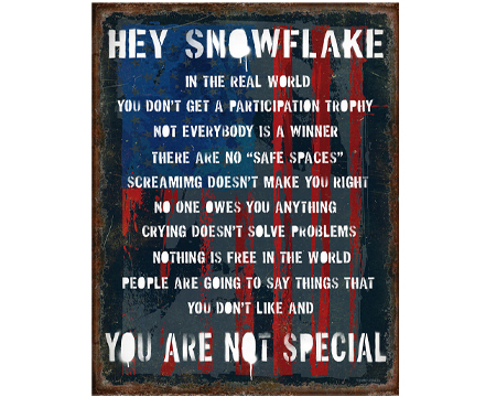 Hey Snowflake Sign