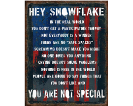 Hey Snowflake Sign