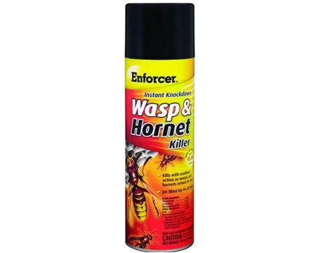 Enforcer® Wasp & Hornet Killer