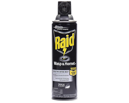 Raid® Wasp & Hornet Killer