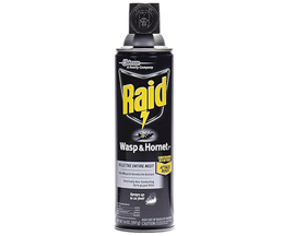 Raid® Wasp & Hornet Killer