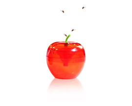 Raid® Fruit Fly Trap 2 Pack