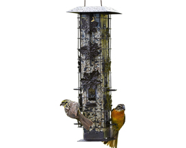Perky-Pet® Birdscape Feeder