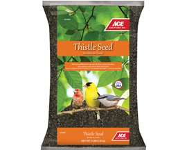 ACE® Thistle Seed Wild Bird Feed
