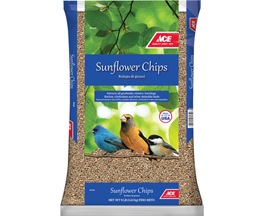 ACE® Sunflower Chips for Wild Birds